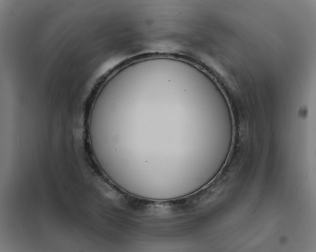 X0000101701315200807241423