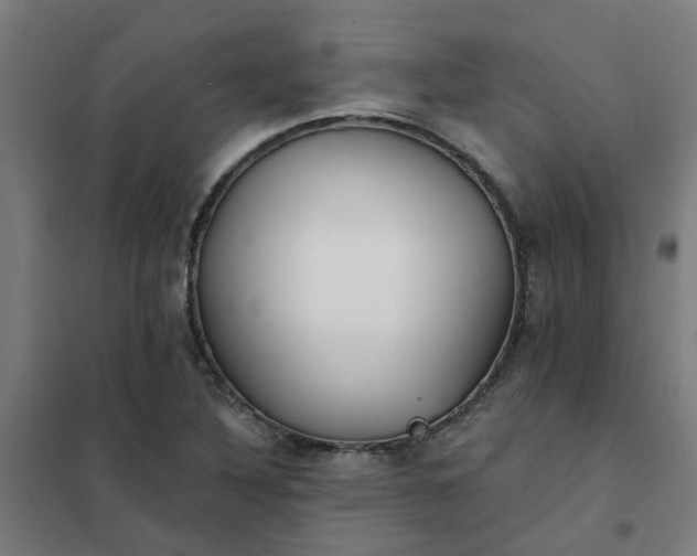 X0000101701316200807241423