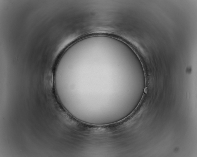 X0000101701317200807241423