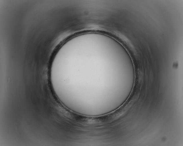 X0000101701318200807241423