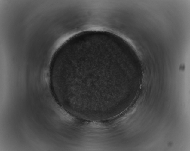 X0000101701319200807241423