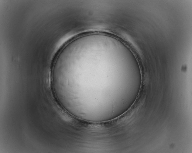 X0000101701320200807241423