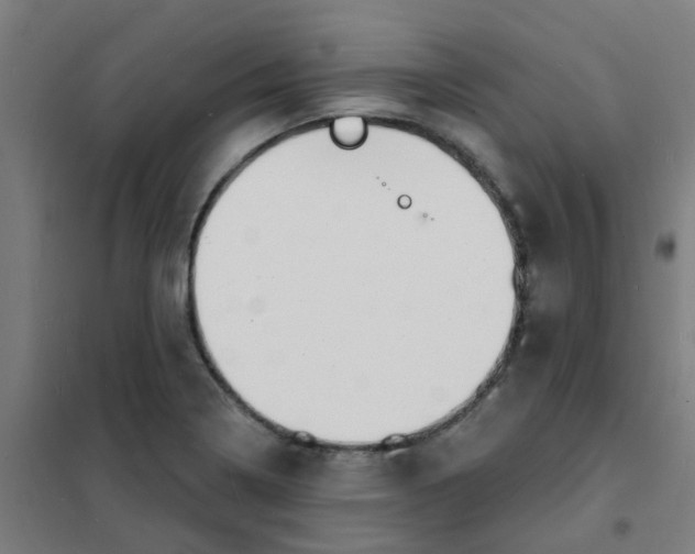 X0000101701322200807241423