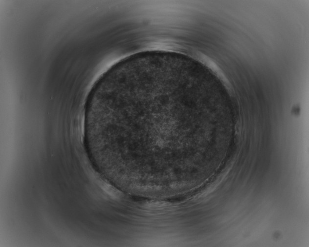 X0000101701323200807241423