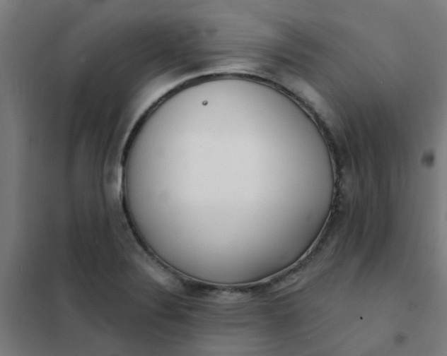 X0000101701324200807241423