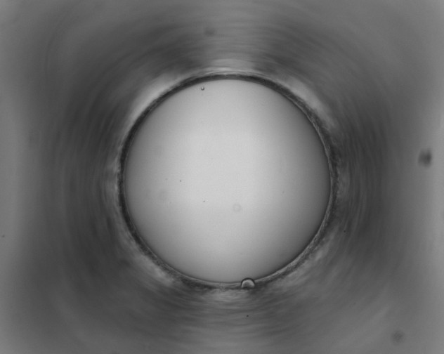 X0000101701325200807241423