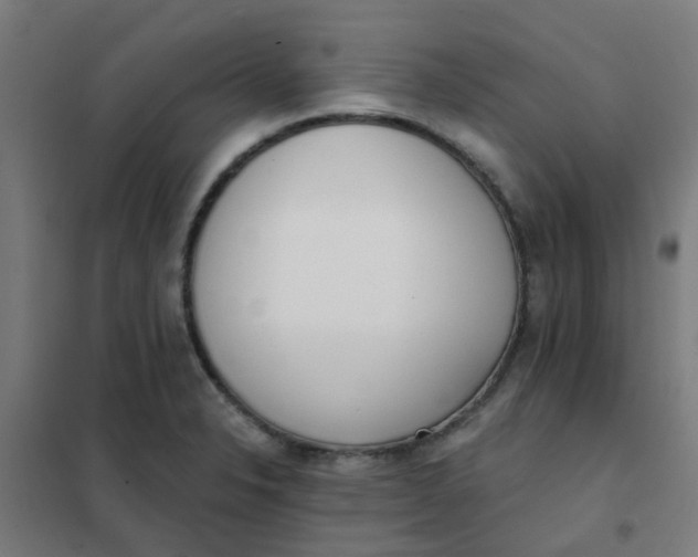 X0000101701326200807241423