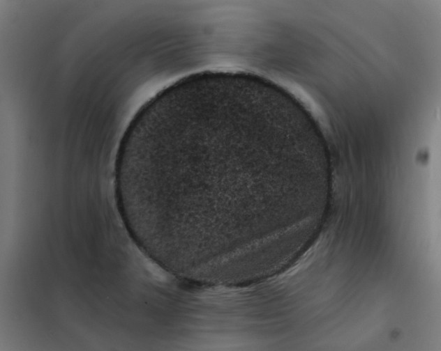 X0000101701327200807241423