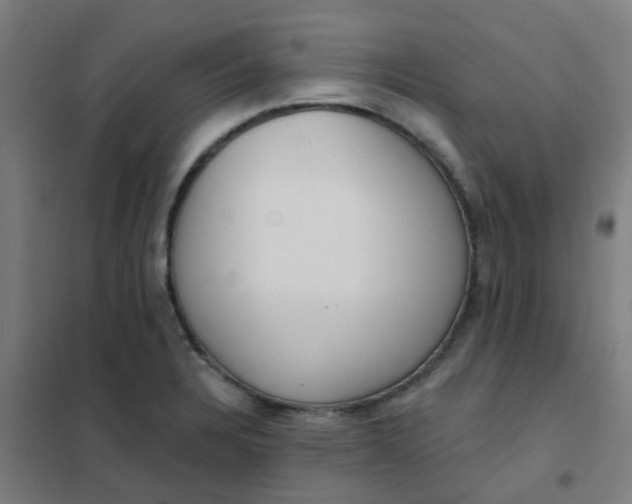 X0000101701328200807241423