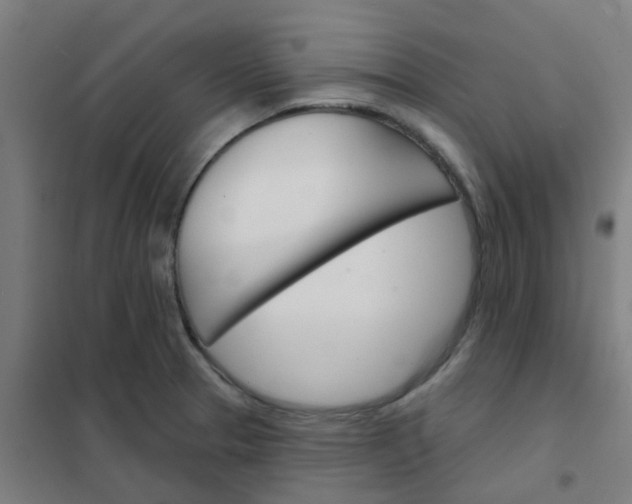 X0000101701329200807241423