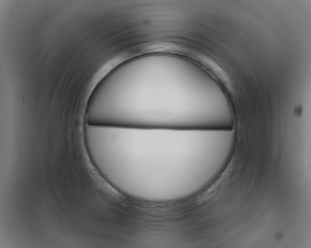 X0000101701330200807241423