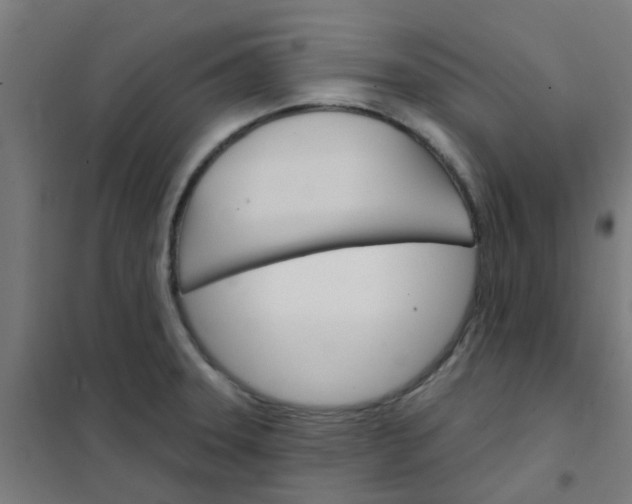 X0000101701331200807241423