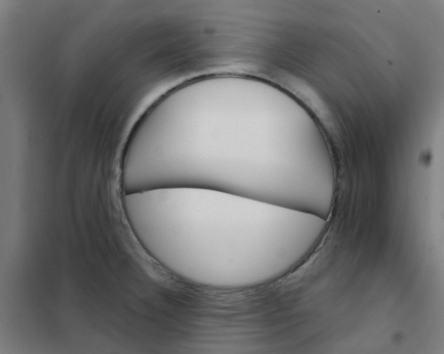 X0000101701332200807241423