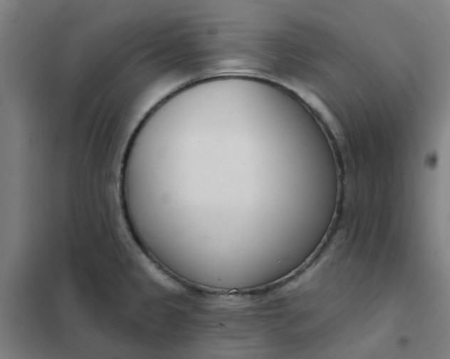 X0000101701333200807241423