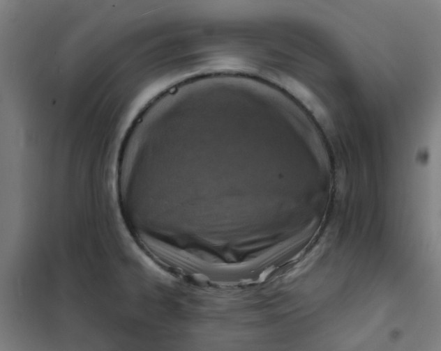 X0000101701334200807241423