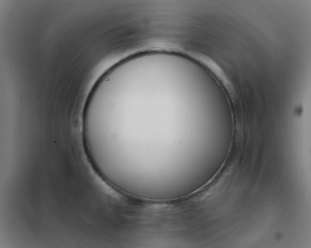 X0000101701335200807241423