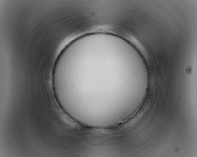 X0000101701336200807241423