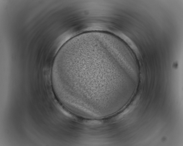 X0000101701337200807241423