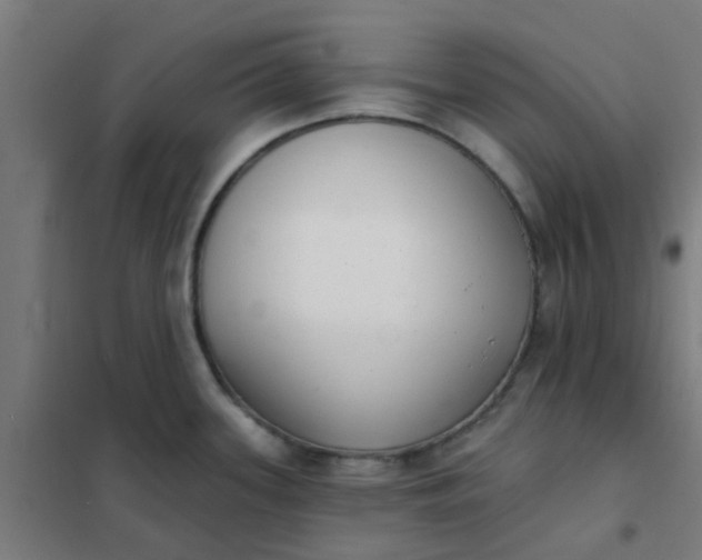 X0000101701339200807241423