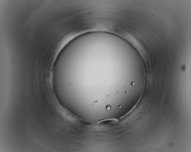 X0000101701340200807241423