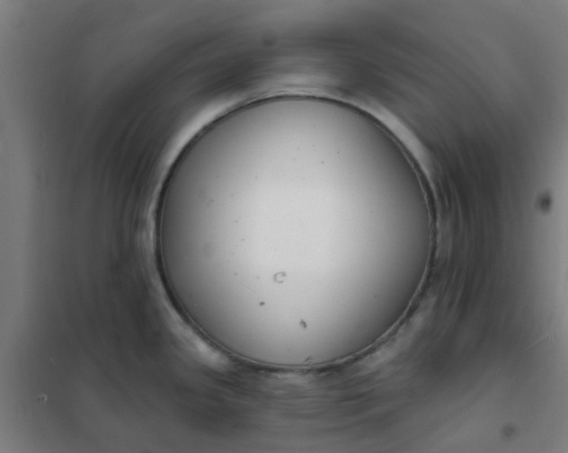 X0000101701341200807241423