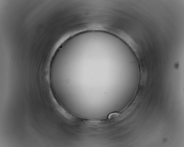 X0000101701342200807241423