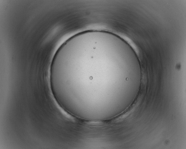 X0000101701343200807241423