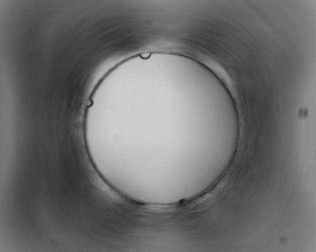 X0000101701344200807241423