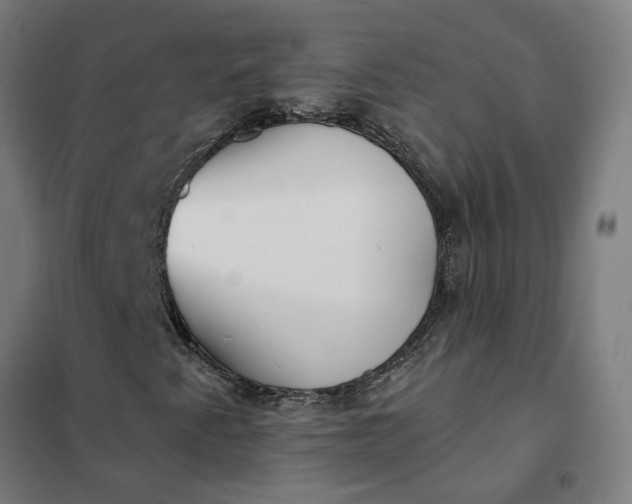 X0000101701345200807241422