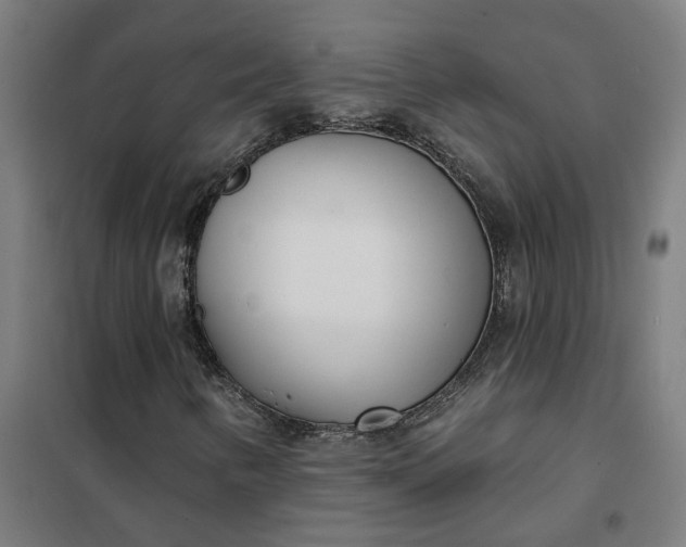 X0000101701346200807241422