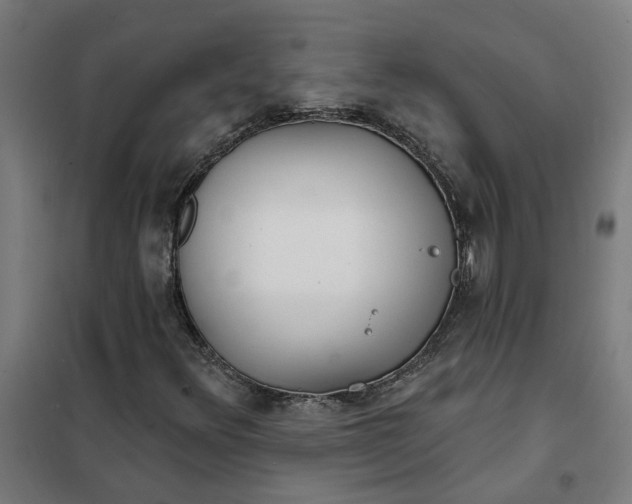 X0000101701348200807241422