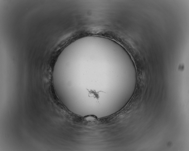 X0000101701349200807241422