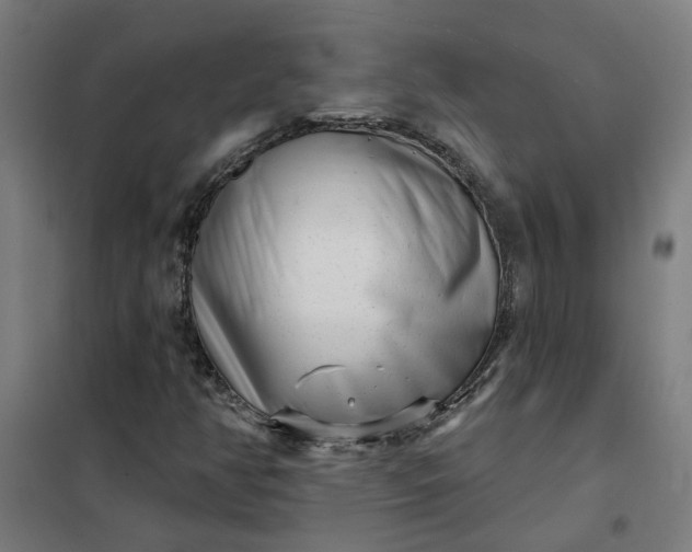 X0000101701350200807241422