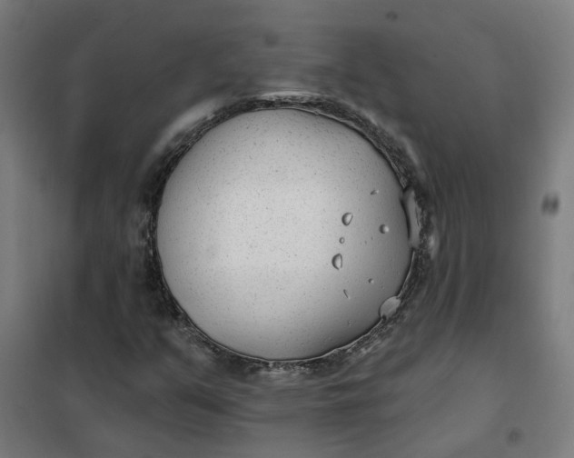 X0000101701351200807241422