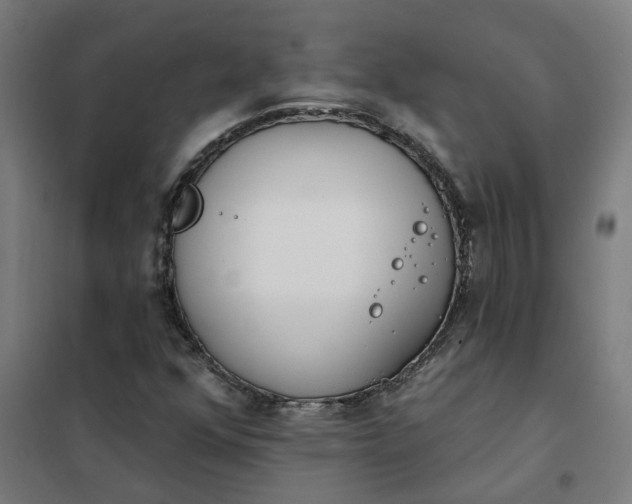 X0000101701352200807241422