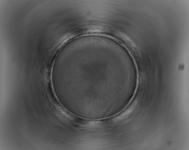 X0000101701353200807241422