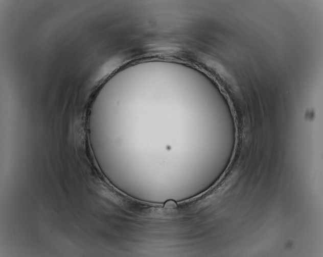 X0000101701354200807241422