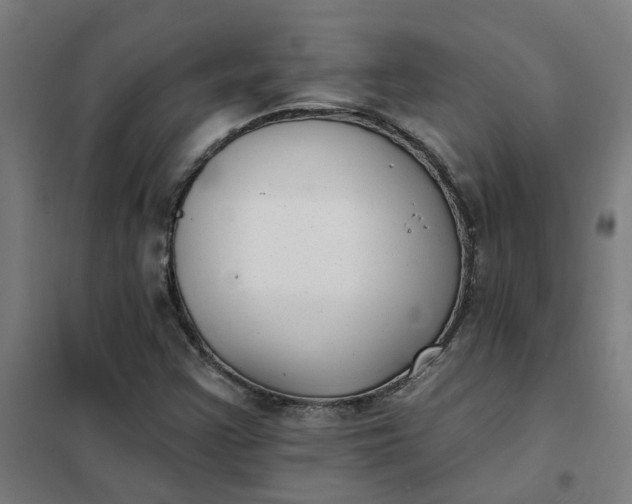 X0000101701355200807241422