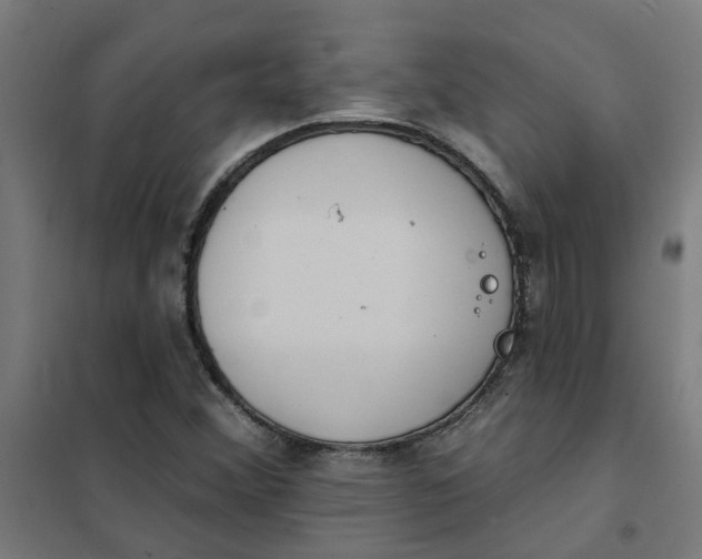 X0000101701356200807241422