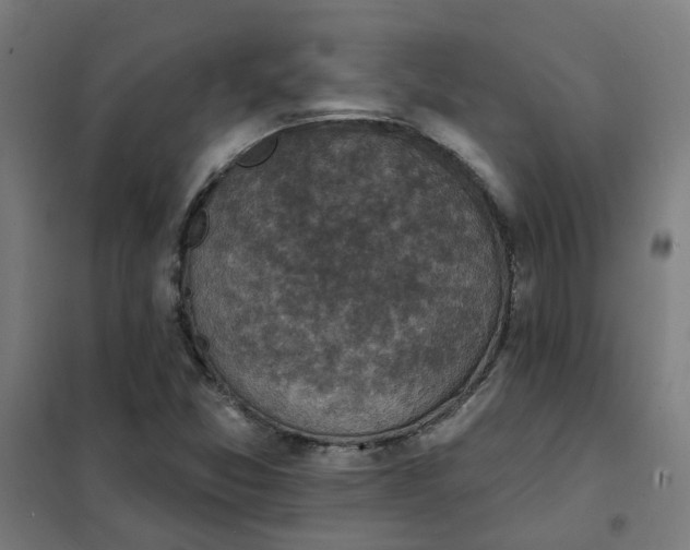 X0000101701357200807241422