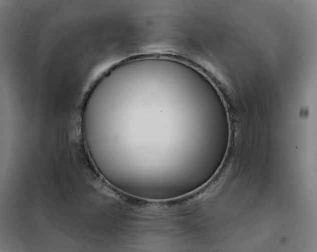 X0000101701358200807241422