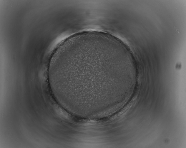 X0000101701359200807241422