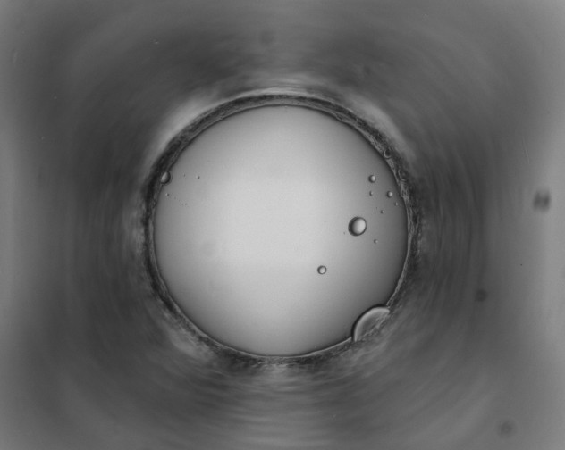 X0000101701360200807241422