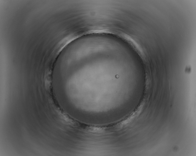 X0000101701361200807241422