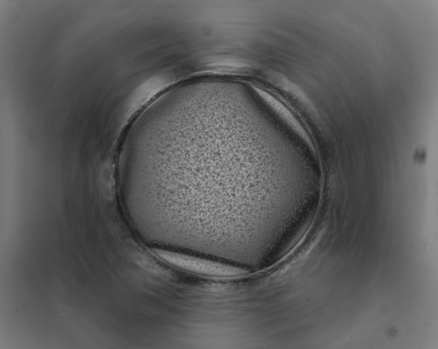 X0000101701362200807241422