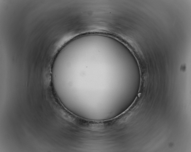 X0000101701363200807241422