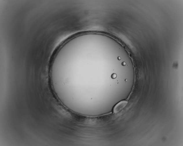 X0000101701364200807241422