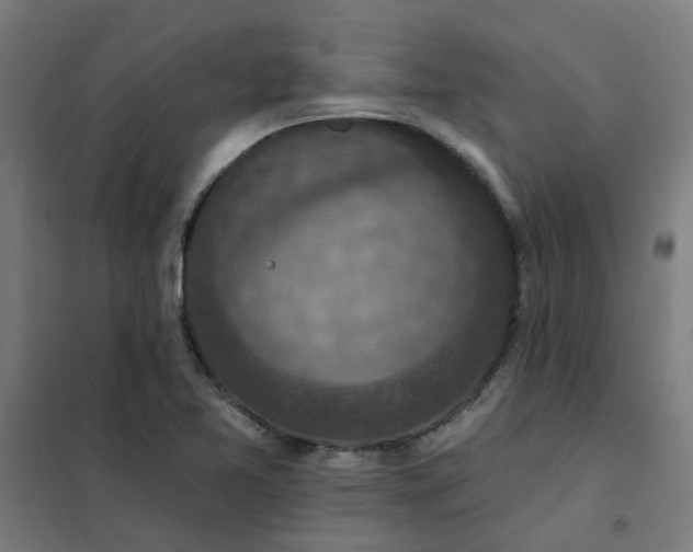 X0000101701365200807241422