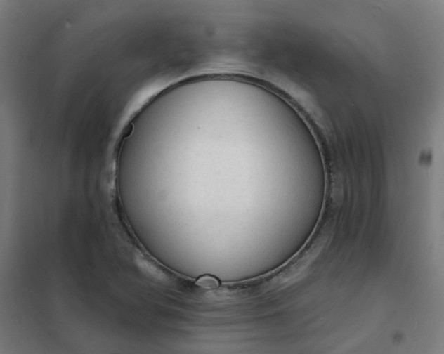 X0000101701366200807241422