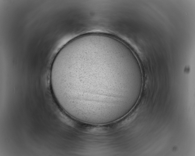 X0000101701367200807241422